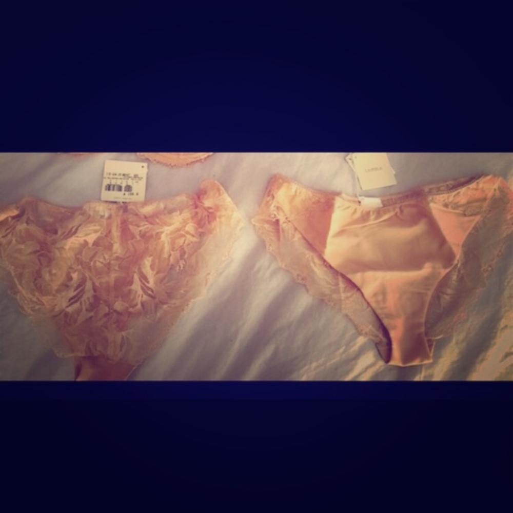 NWT! La Perla Lace Nude Panty